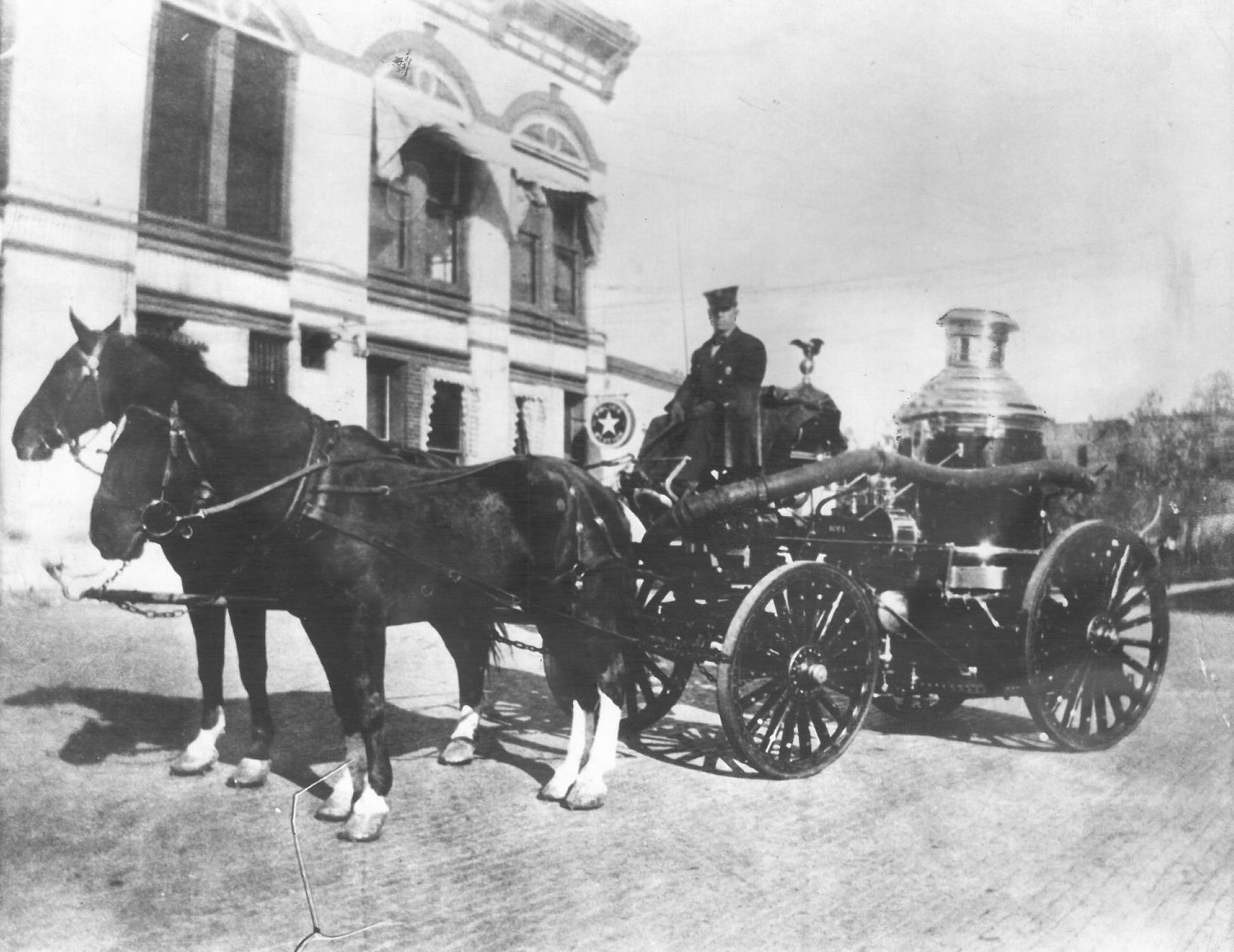 Famous Fire Horses